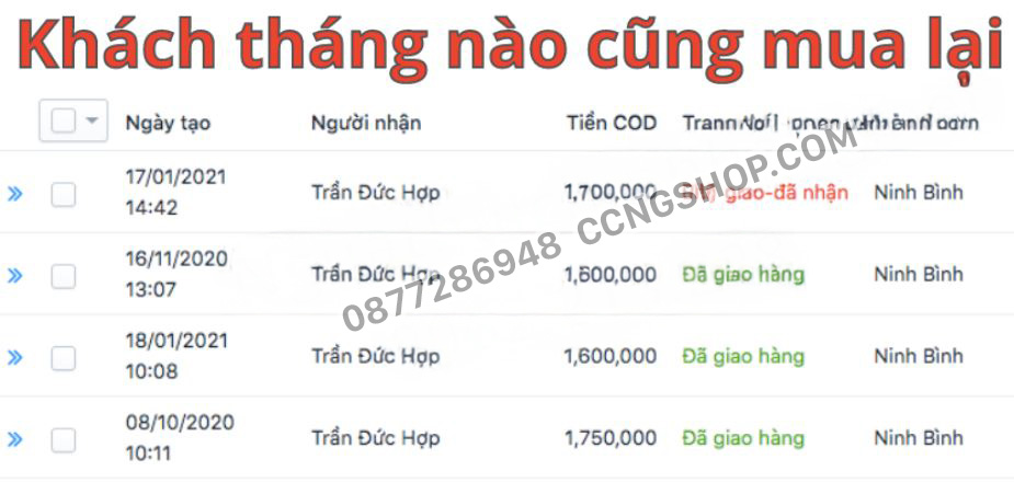 thông tin ngựa thái